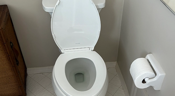 White toilet with open lid beside a wall-mounted toilet paper holder.